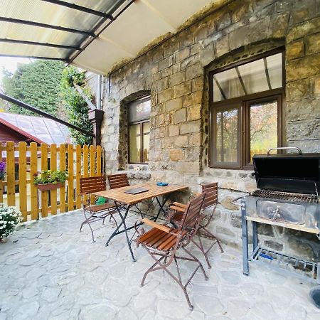 Apartment Carol Private Yard With Barbeque And Parking Sinaia Eksteriør bilde