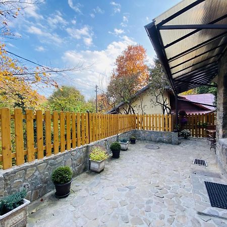 Apartment Carol Private Yard With Barbeque And Parking Sinaia Eksteriør bilde