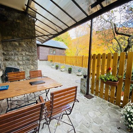 Apartment Carol Private Yard With Barbeque And Parking Sinaia Eksteriør bilde