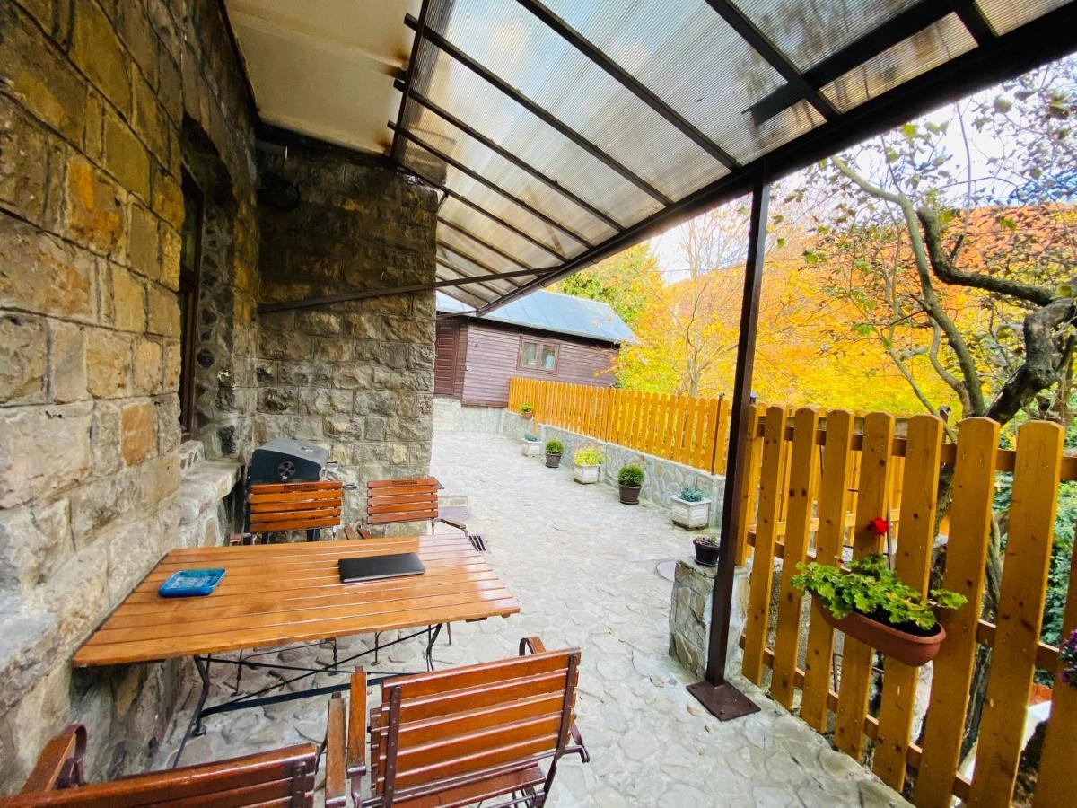 Apartment Carol Private Yard With Barbeque And Parking Sinaia Eksteriør bilde