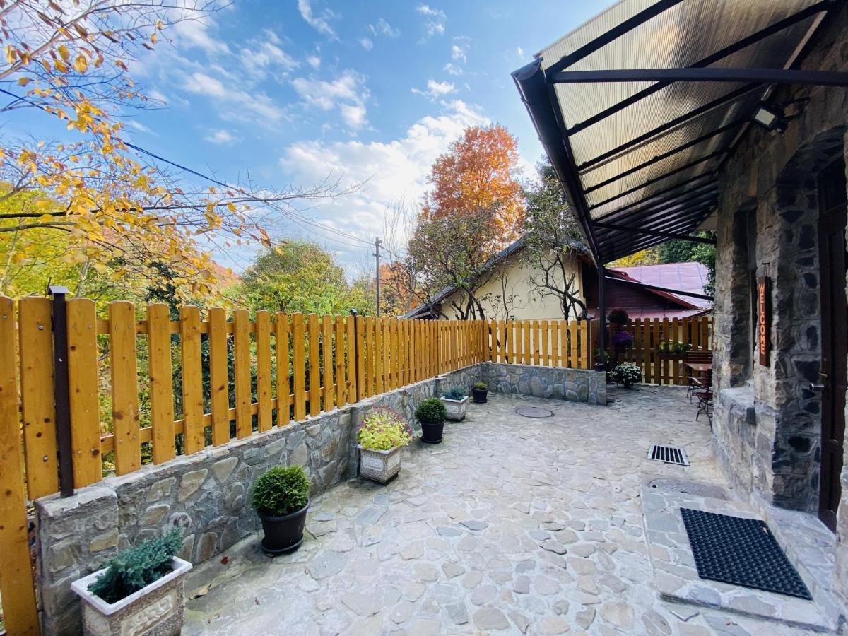 Apartment Carol Private Yard With Barbeque And Parking Sinaia Eksteriør bilde