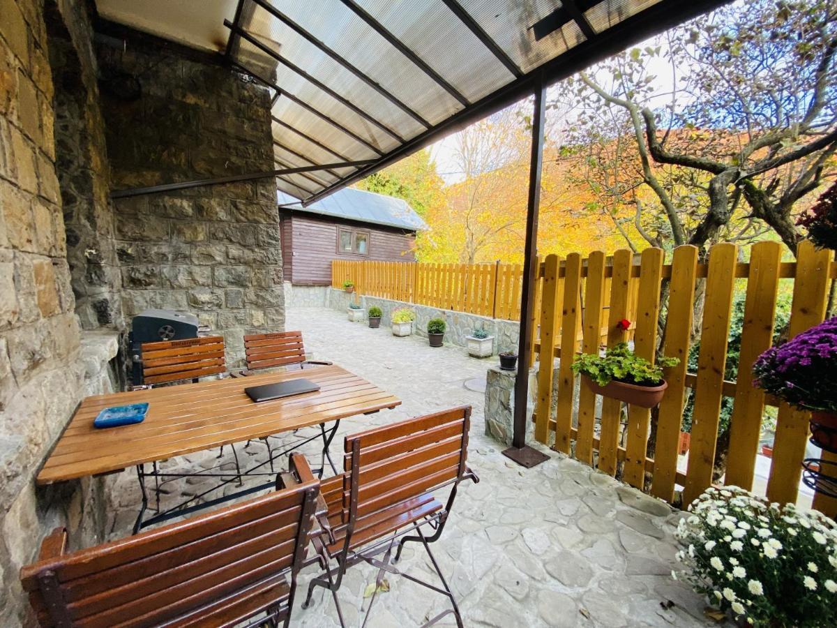 Apartment Carol Private Yard With Barbeque And Parking Sinaia Eksteriør bilde