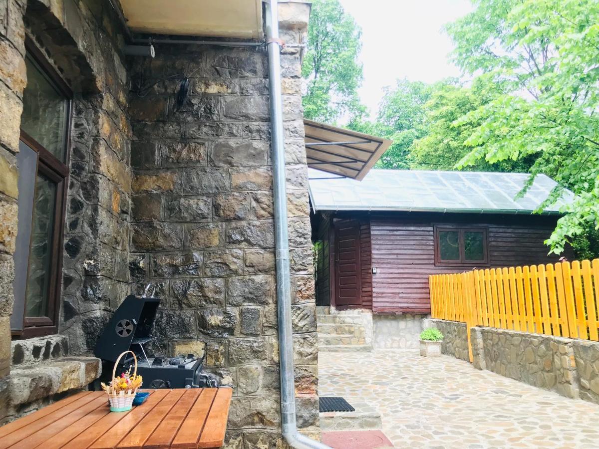 Apartment Carol Private Yard With Barbeque And Parking Sinaia Eksteriør bilde